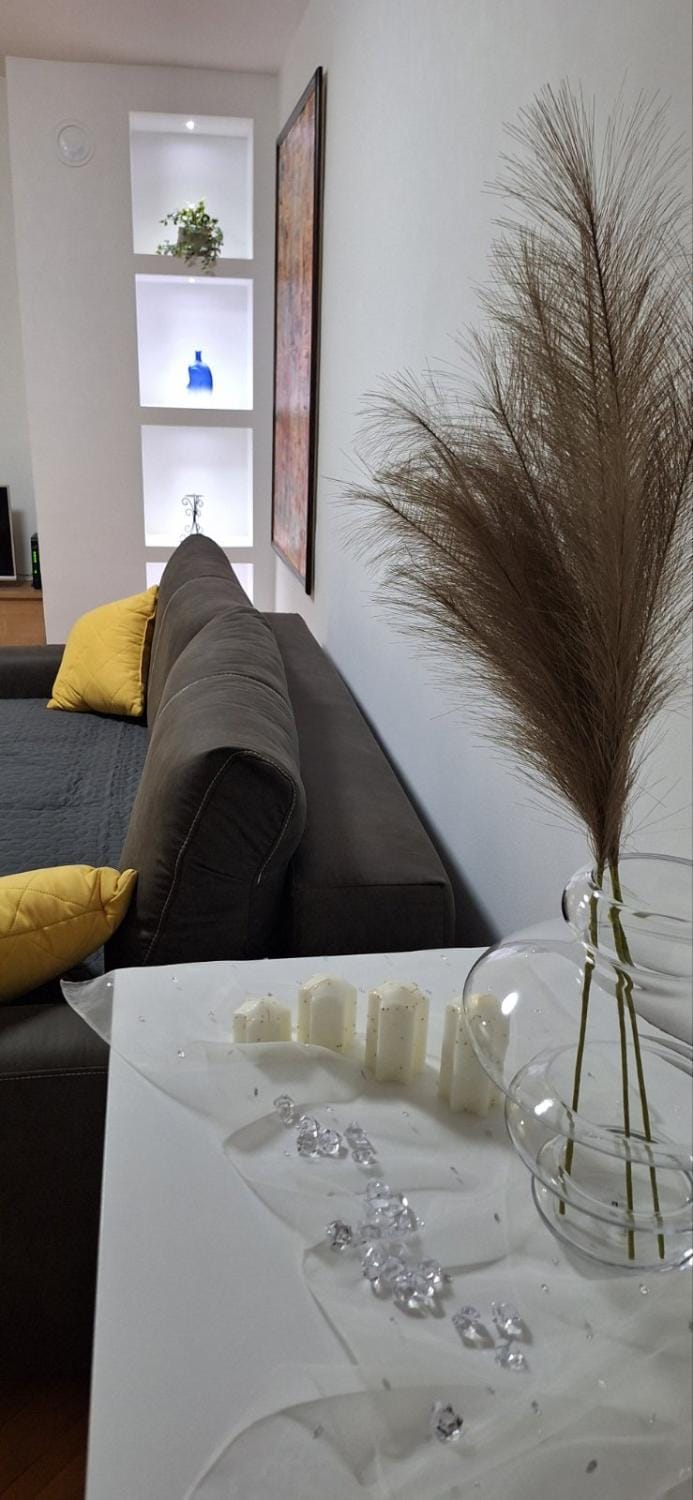 Symphony Apartment in Serbia