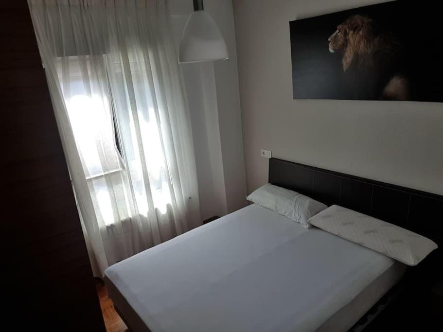 Piso completo 3 habitaciones y 2 baños palacio congresos Apartment in Oviedo