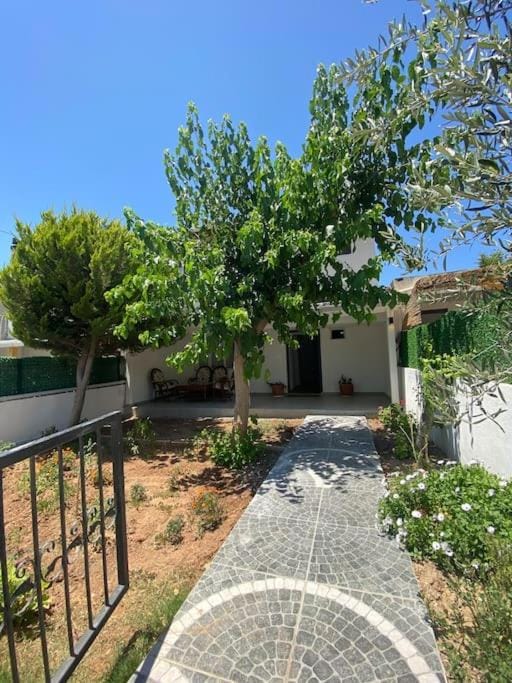 Property building, Garden, Garden view