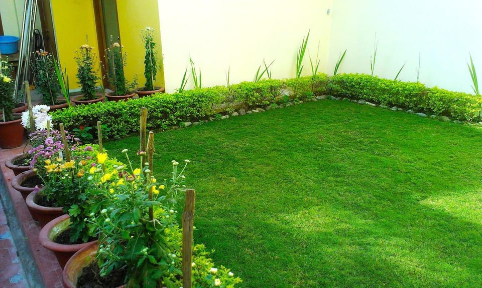 Garden, Garden, Garden view