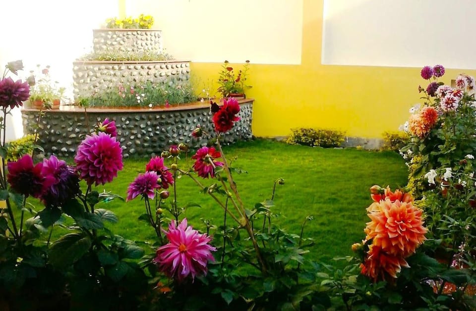 Garden, Garden, Garden view, Garden view