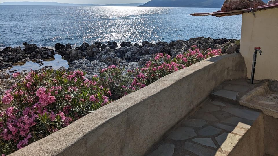 Natural landscape, Garden, Beach, Sea view