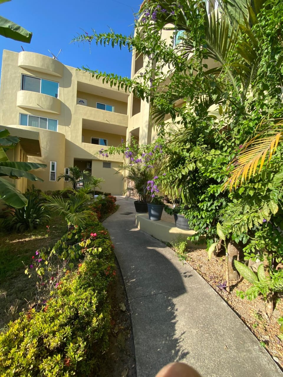 Garden, Garden, Garden view