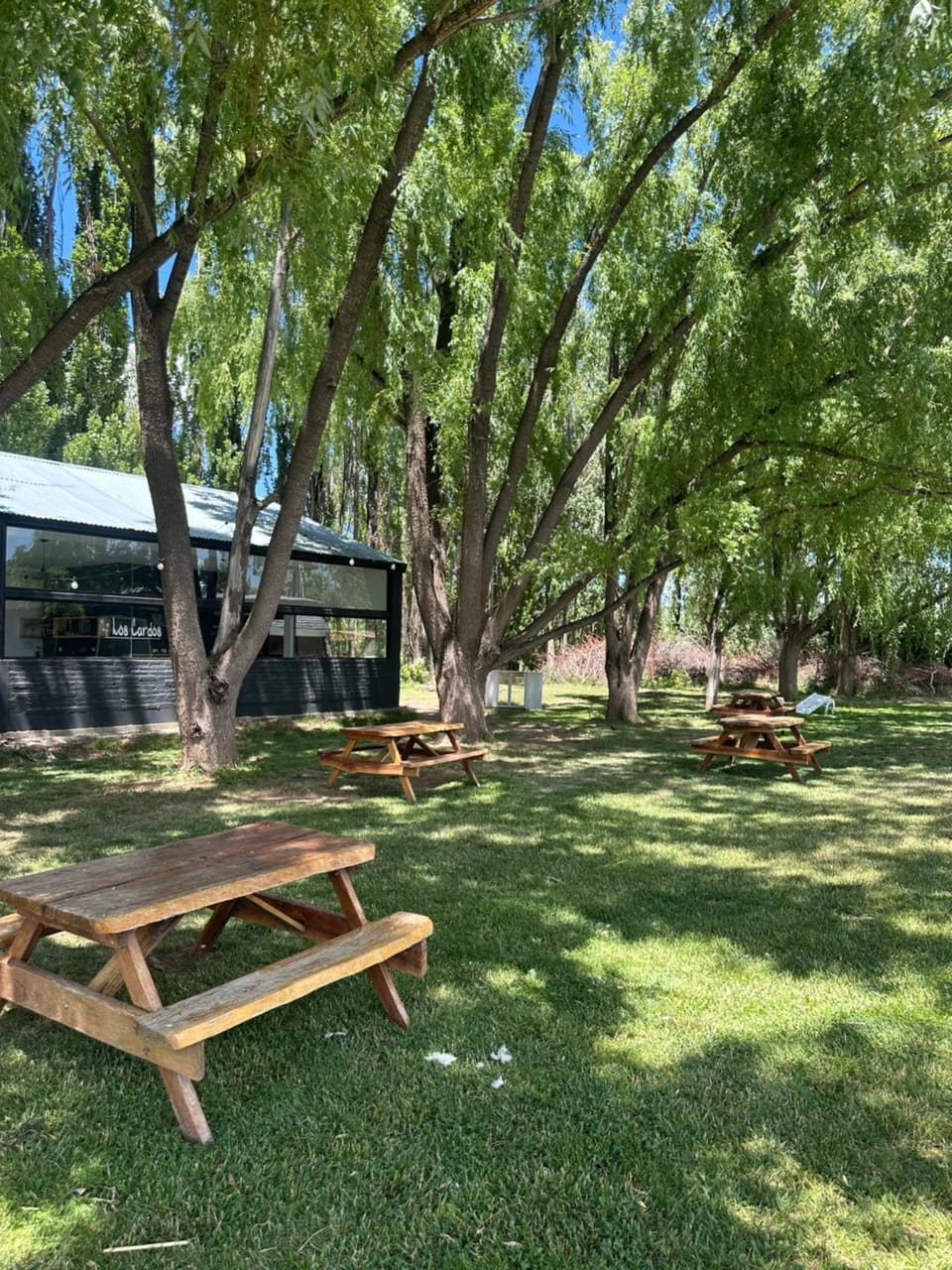 Los Cardos Lodge & Glamping Hotel in Mendoza Province Province