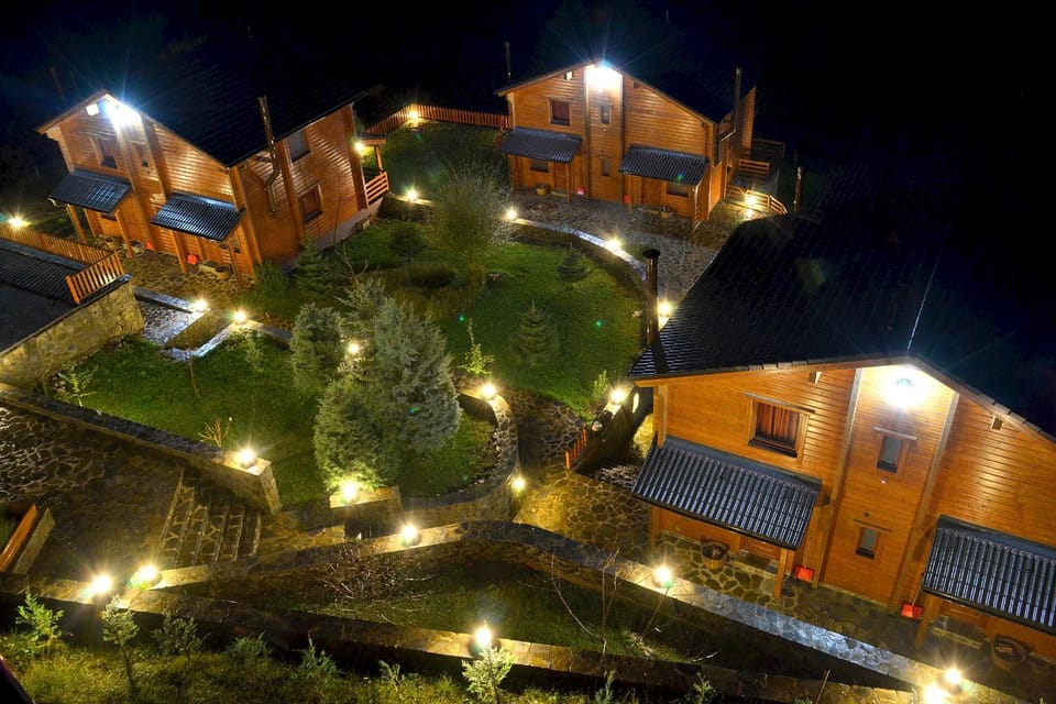 Night, Bird's eye view, Autumn, On site, Garden view