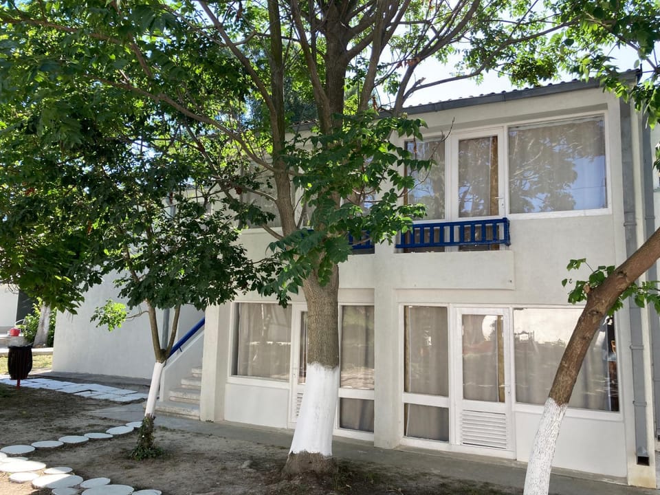 Bungalowri Exotic Inn in Constanța County