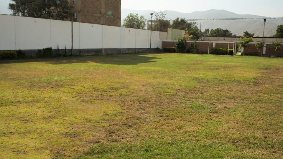 Off site, Garden