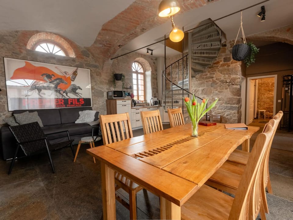Maisonette-Wohnung mit Kamin im historischen Gewölbe Apartment in Saxony
