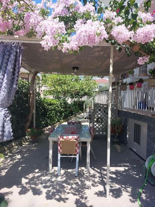Garden, Garden view