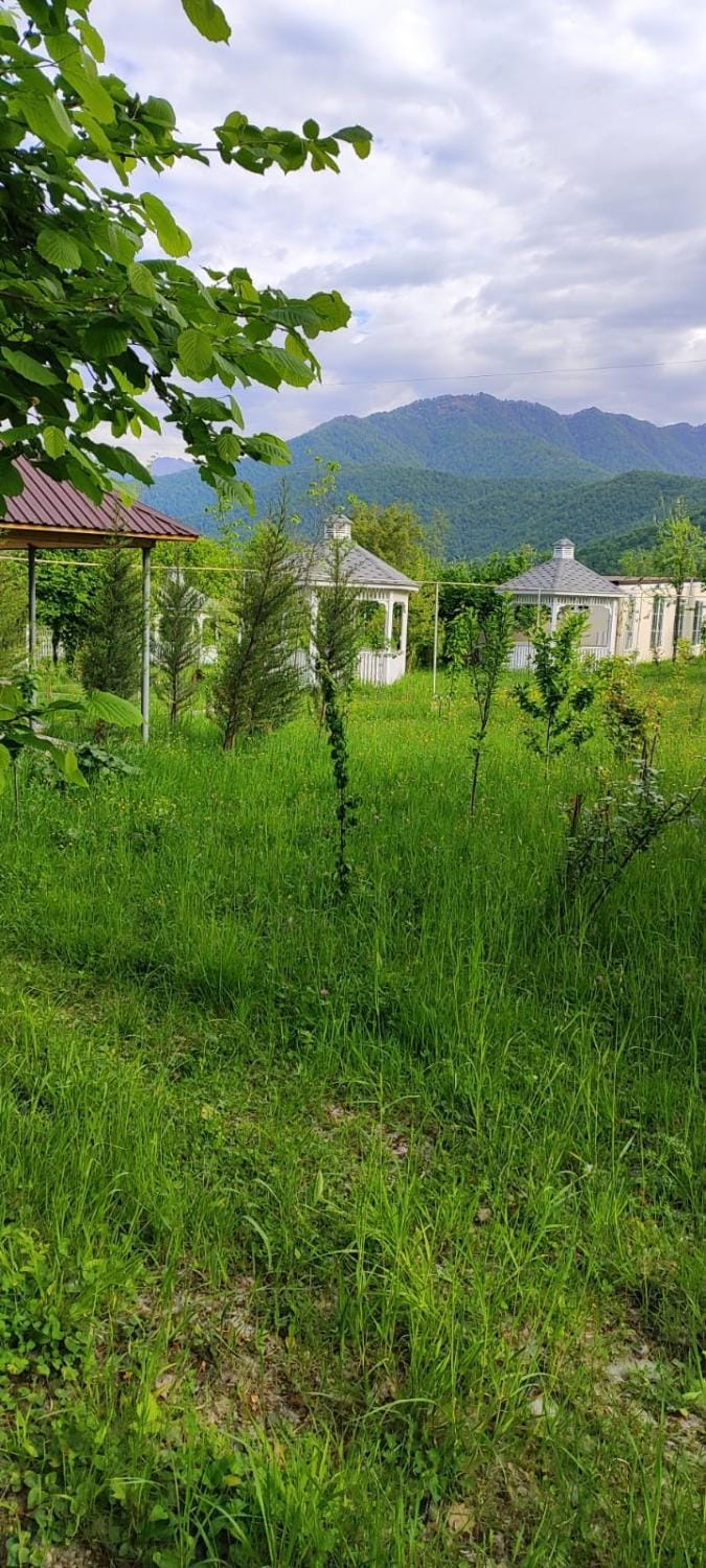 Landmark view