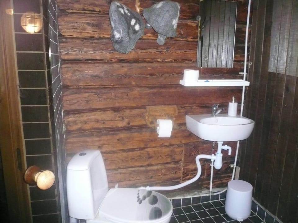 Shower, Toilet