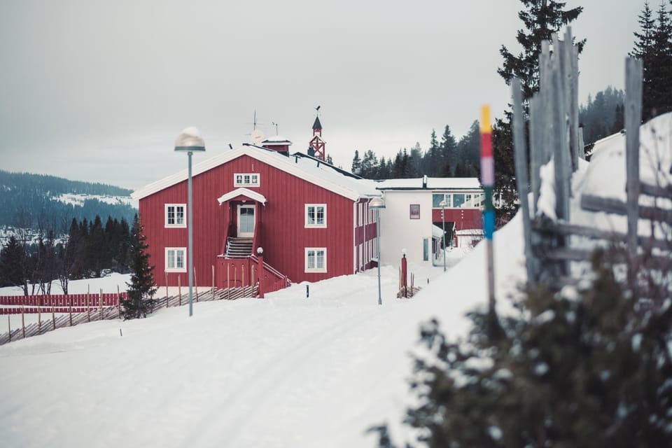 Day, Winter, Skiing