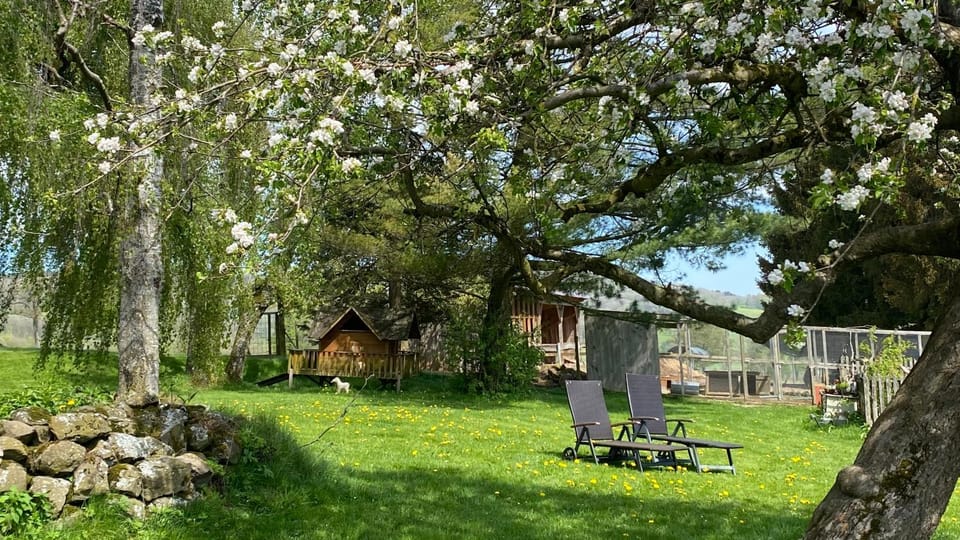 Spring, Natural landscape, Garden, Garden view