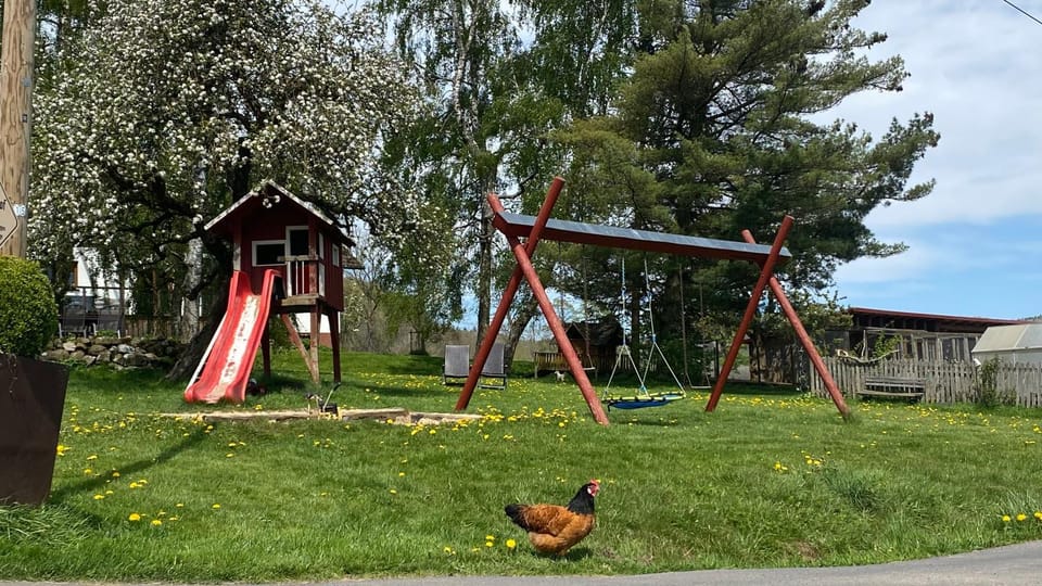 Natural landscape, Children play ground, Garden