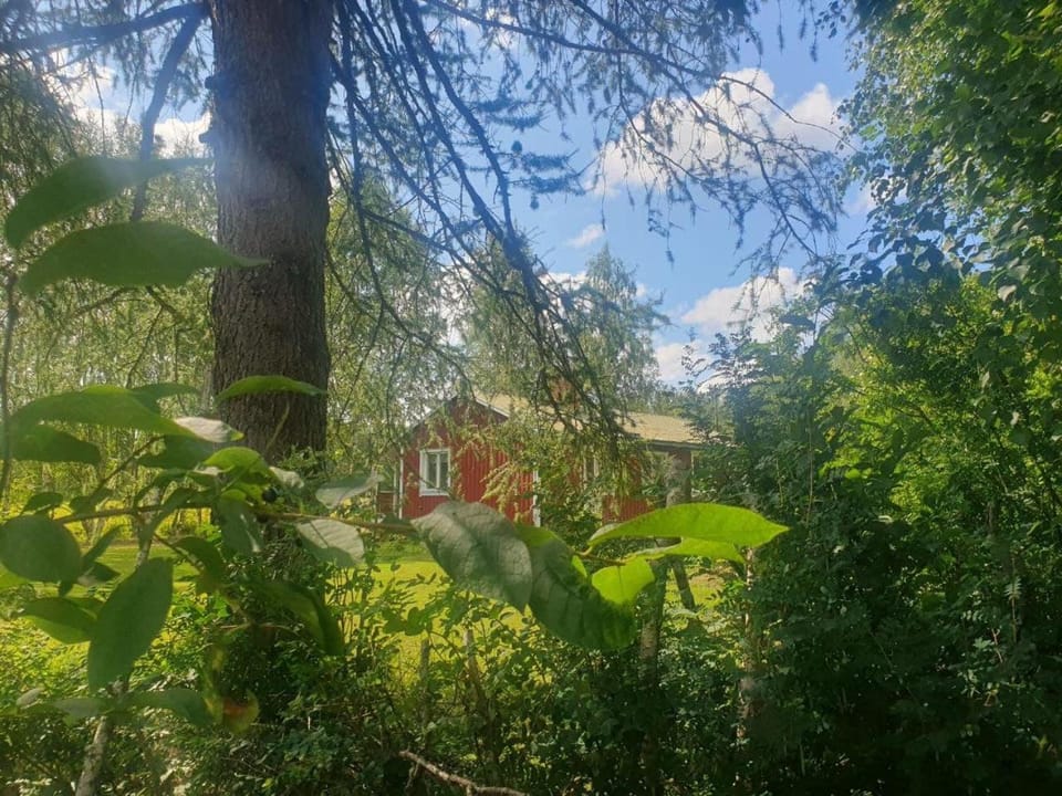 gemütliches Ferienhaus - Höga Kusten Region Apartment in Sweden