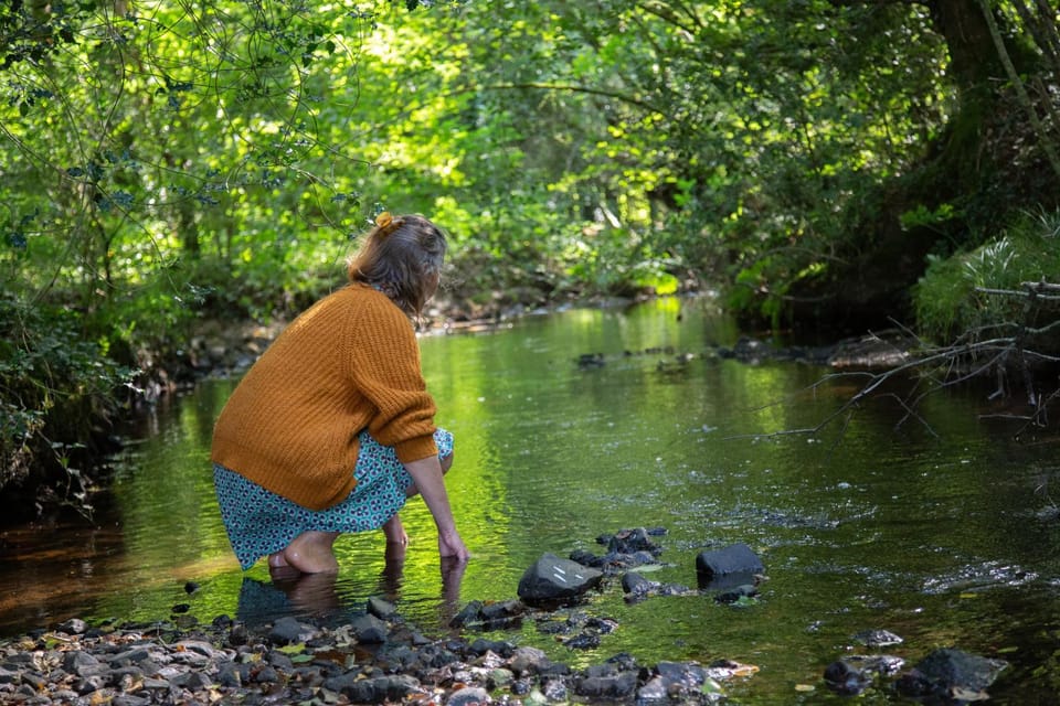 Le Moulin des hirondelles Bed and Breakfast in Brittany