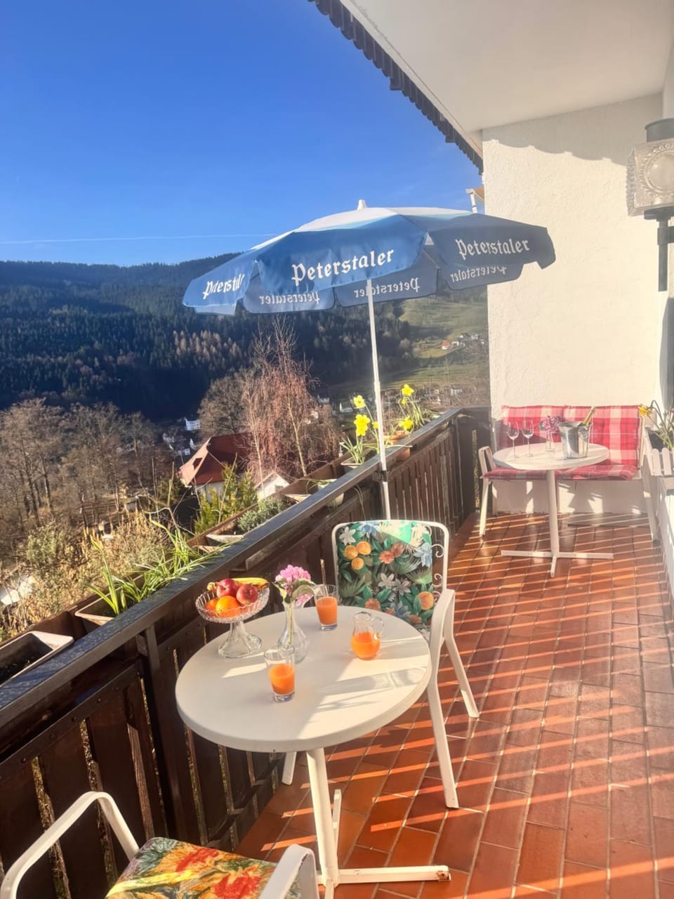 View (from property/room), Balcony/Terrace