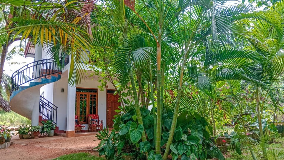 Property building, Patio, Spring, Day, Natural landscape, Garden, Garden view
