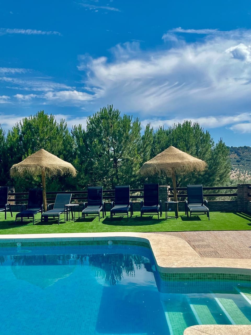 Spring, Day, Natural landscape, Garden, Garden view, Pool view