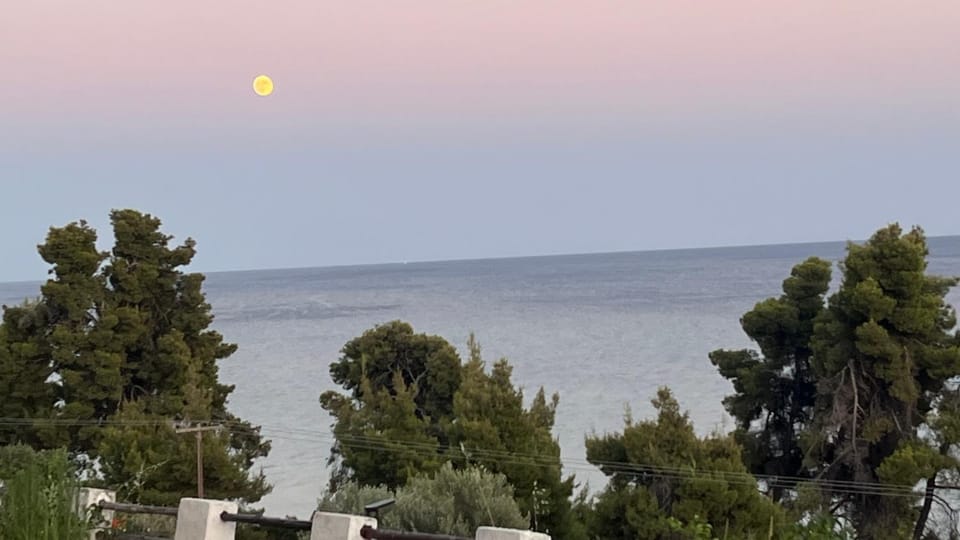 Sea view