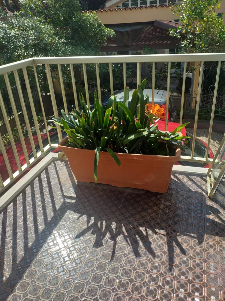 Casa Liliana Apartment in Bordighera