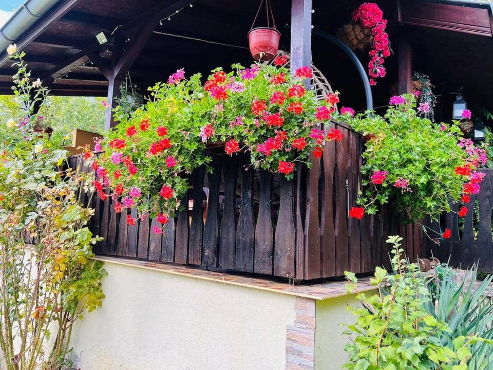 Cozy Quiet Retreat 70km from Sofia Campground/ 
RV Resort in Bulgaria
