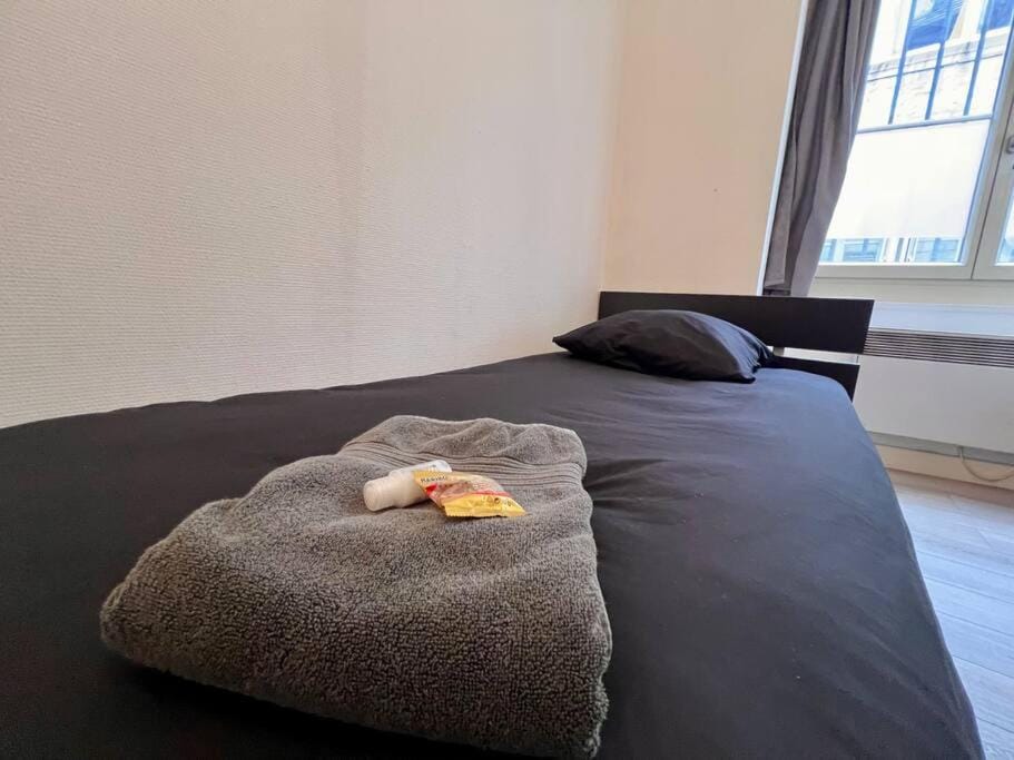 Studio 1 personne Au pied de la Citadelle Apartment in Besançon