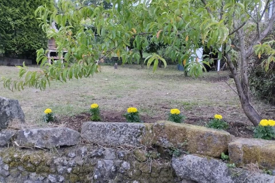 Garden, Garden