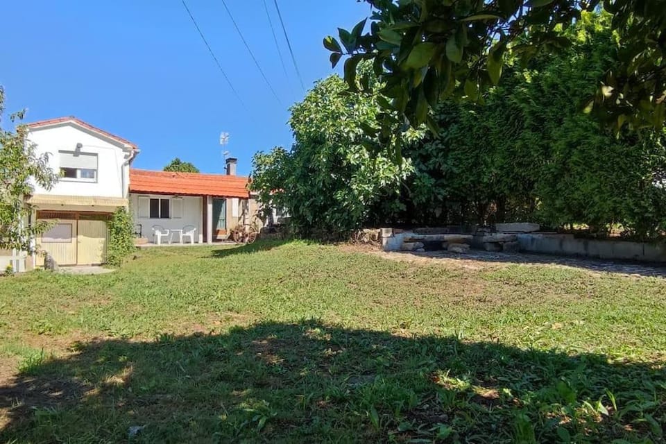 Natural landscape, Garden, Garden view