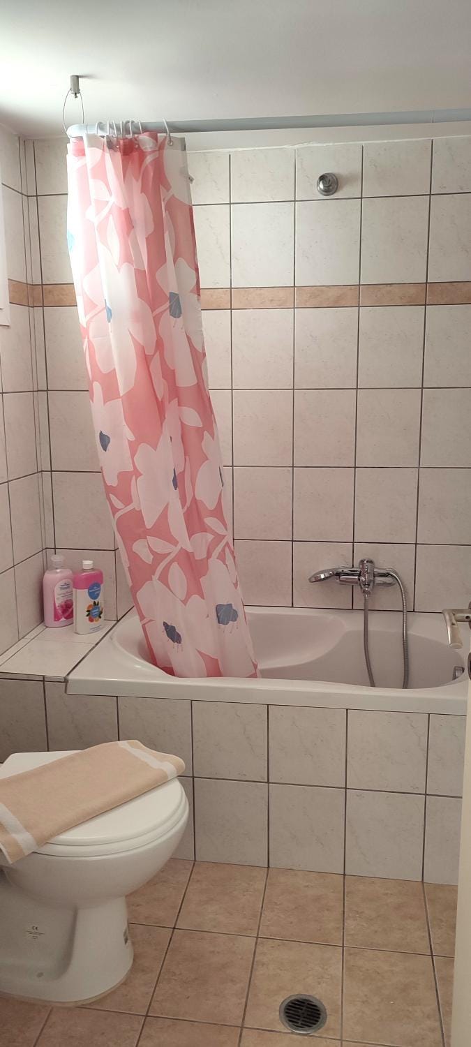 Toilet, Bathroom, Bath