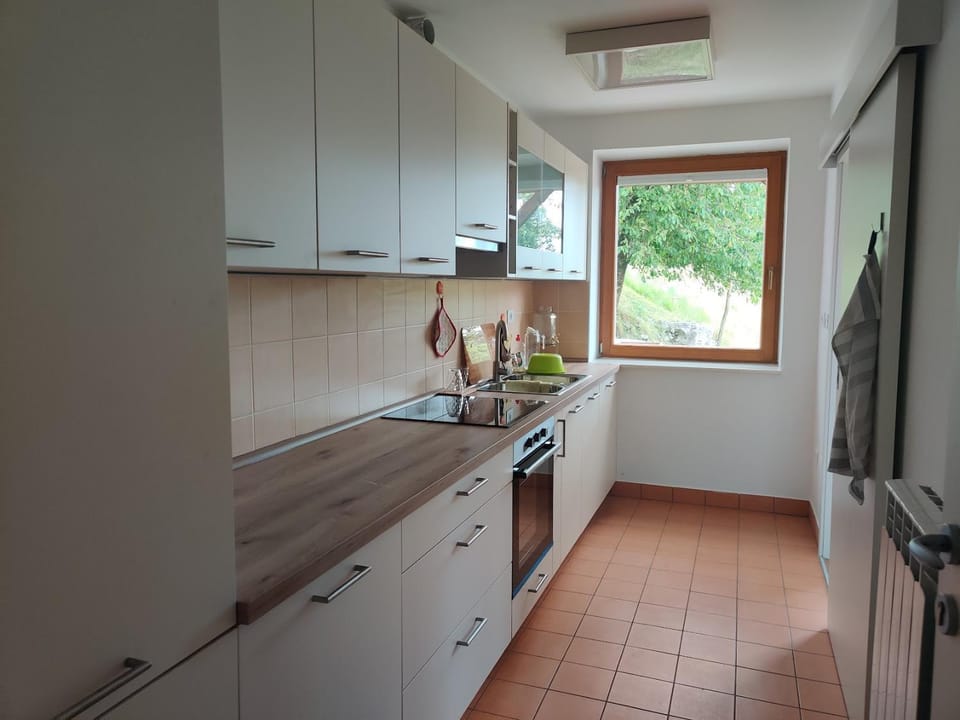Kitchen or kitchenette, oven, stove