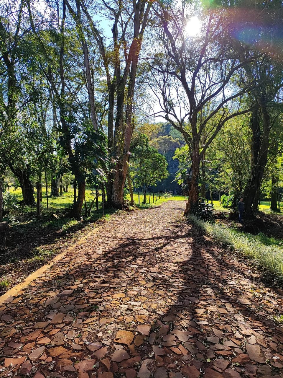 Cabañas Nueva Alborada Campground/ 
RV Resort in Misiones Province, Argentina
