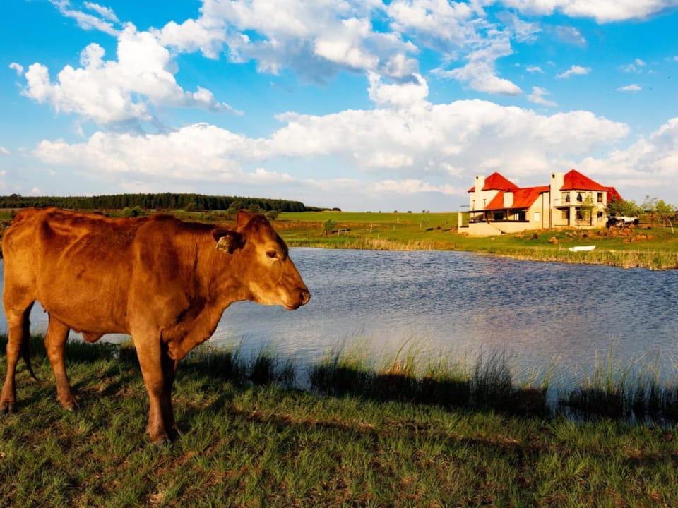 Natural landscape