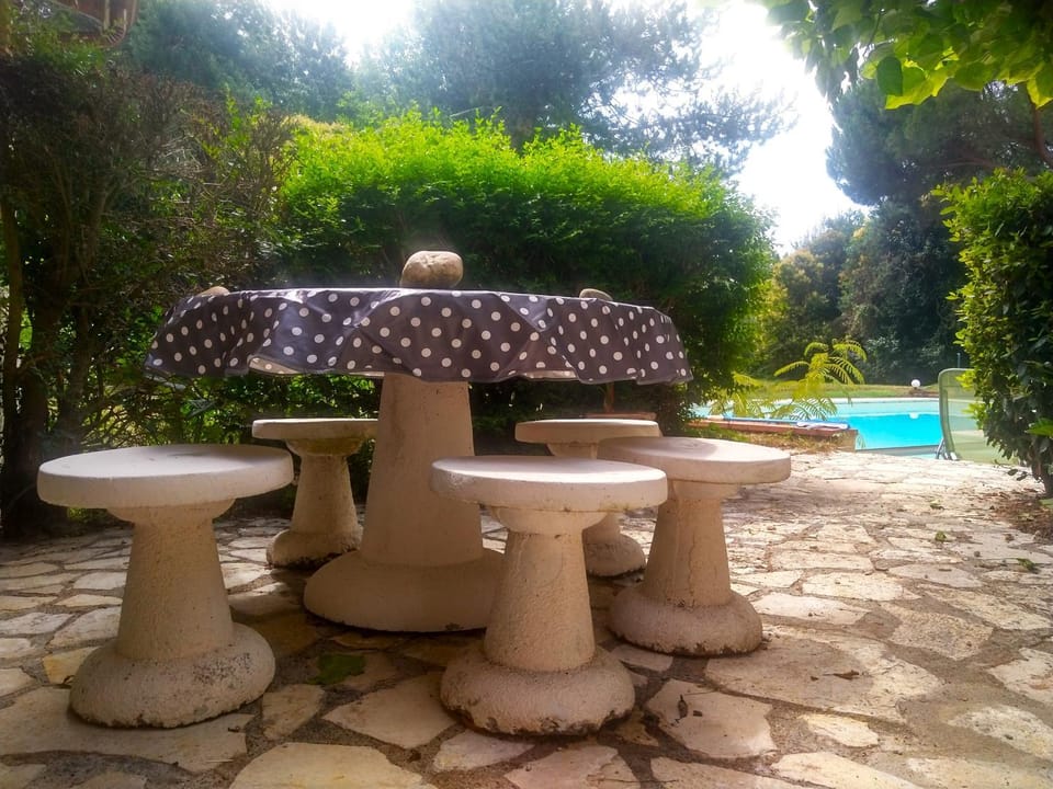 Patio, Day, Natural landscape, Garden, Dining area, Garden view, Pool view, Swimming pool, sunbed
