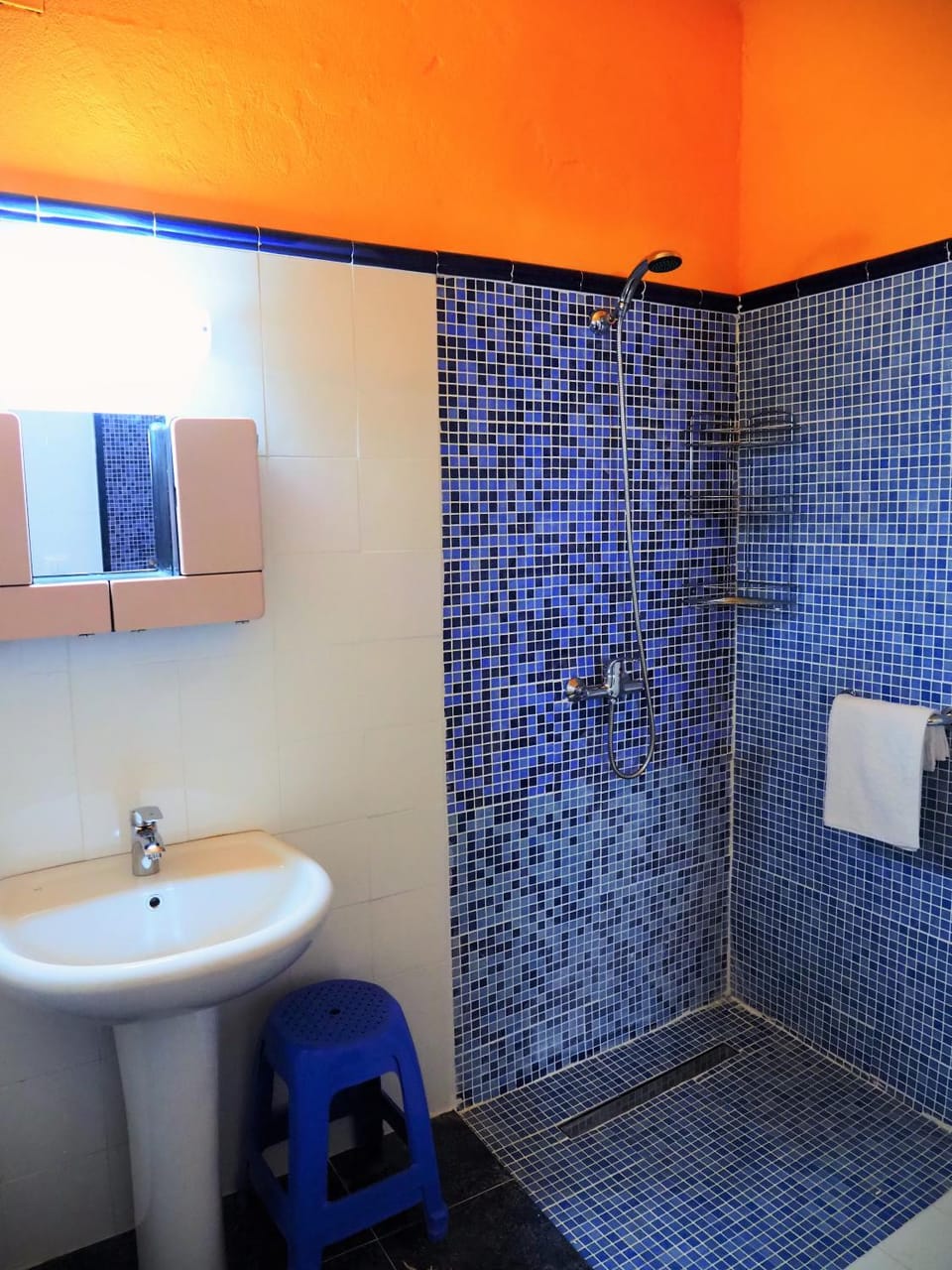 Shower, Bathroom