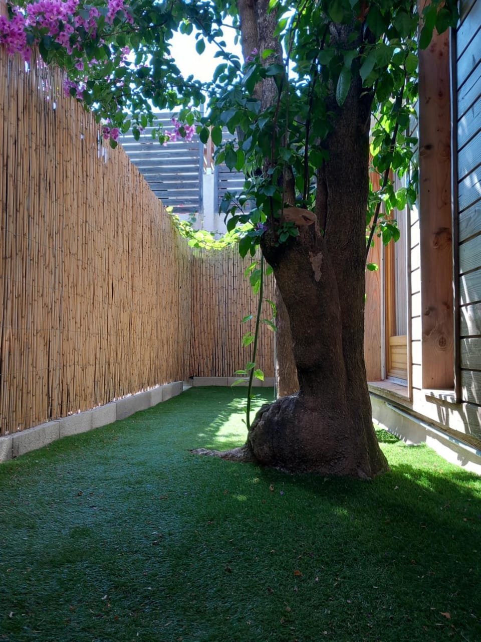 Garden view