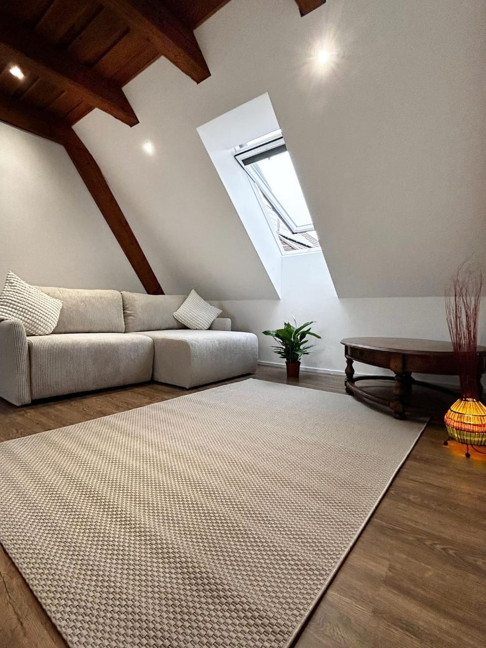 Modern Appartement Apartment in Switzerland