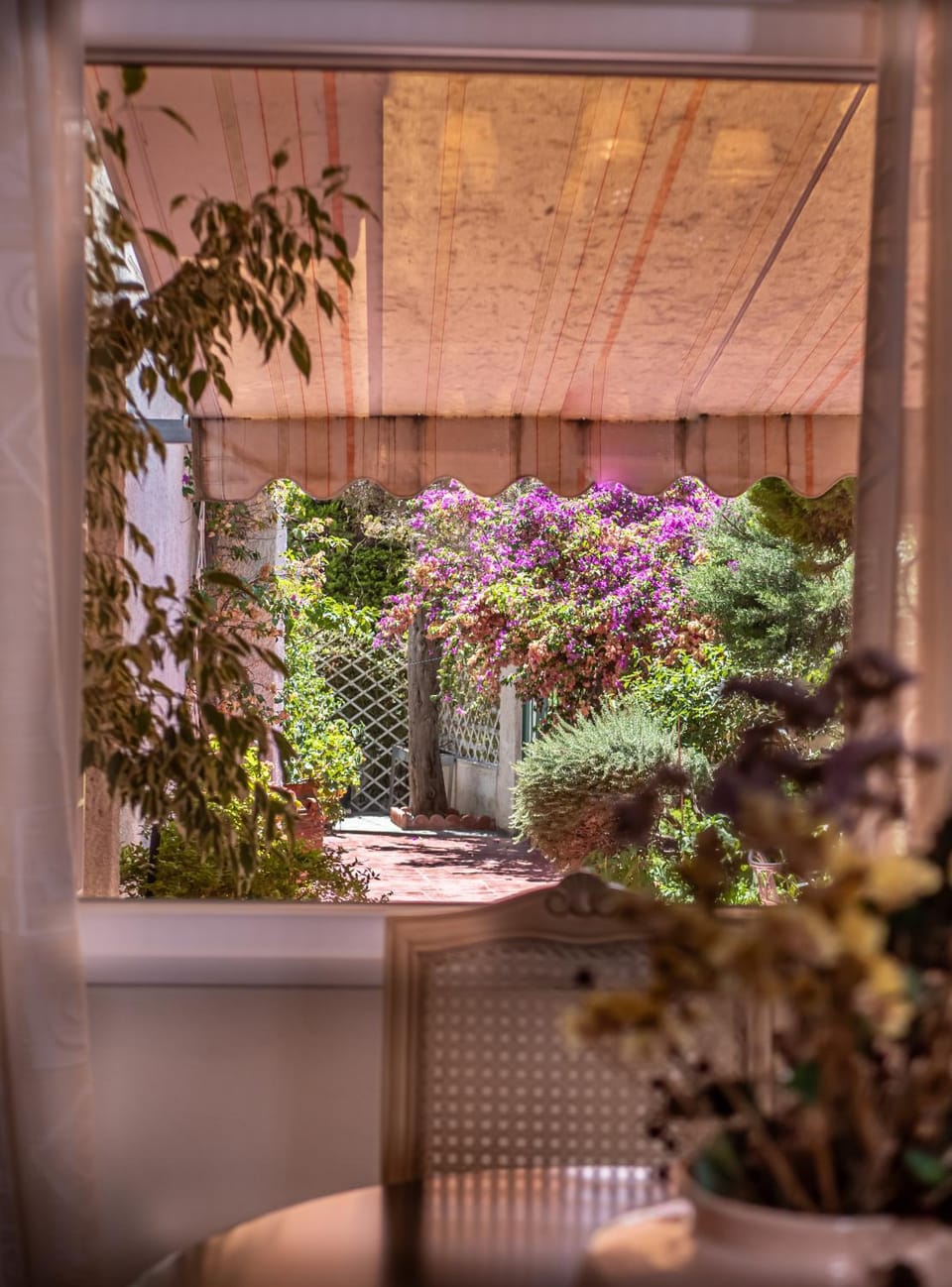 Spring, Garden, Garden view