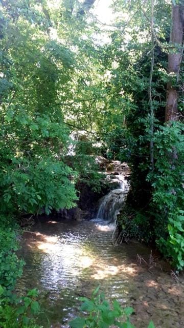 Natural landscape, River view