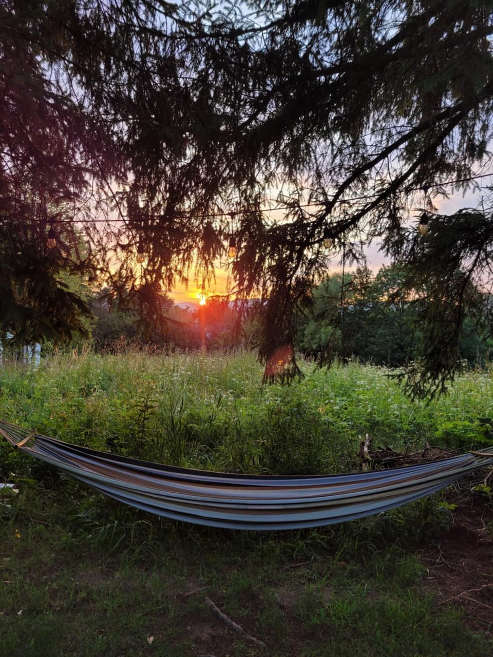 Natural landscape, Garden, Garden view, Sunset
