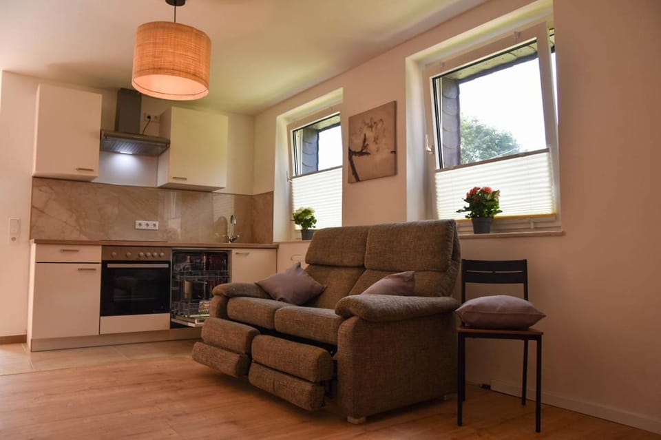 Kitchen or kitchenette, Living room, Seating area, stove