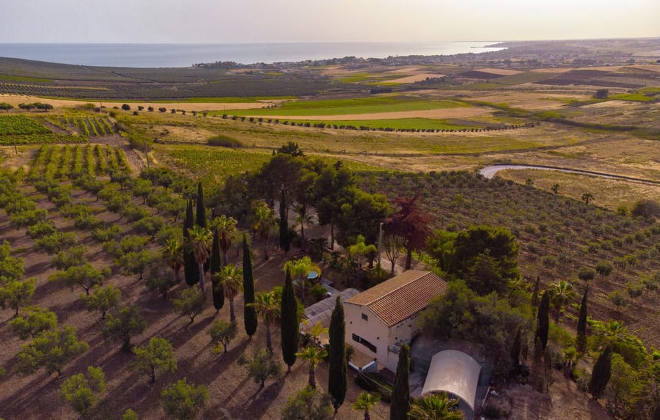 Bird's eye view, Garden