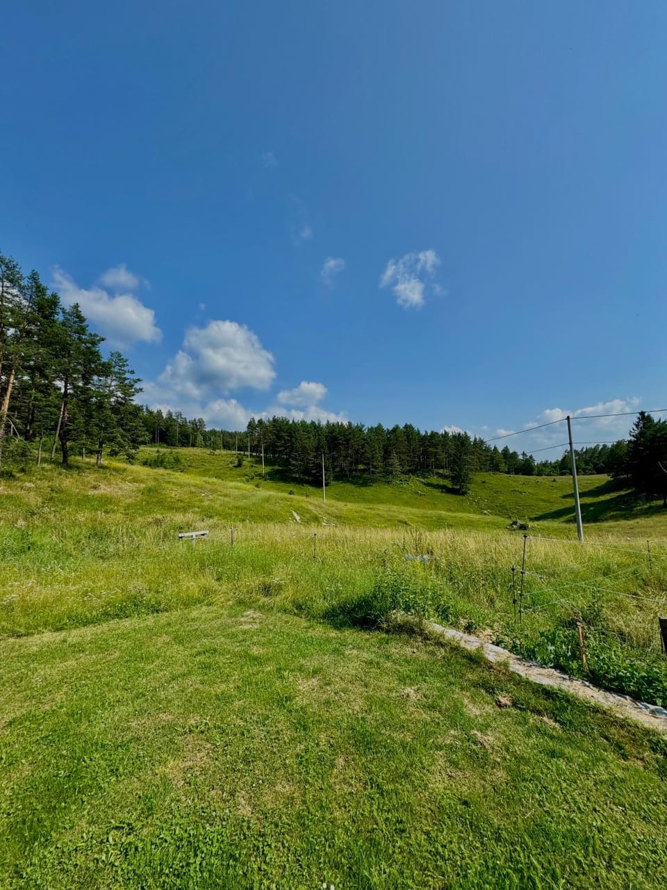 Day, Natural landscape, Garden view