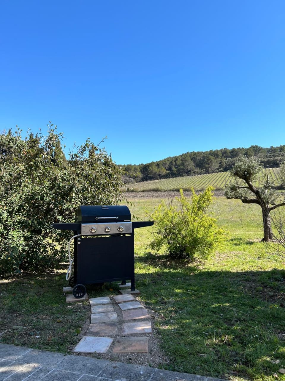 Gites L INSTANT PRESENT CHEZ LO House in Provence-Alpes-Côte d'Azur