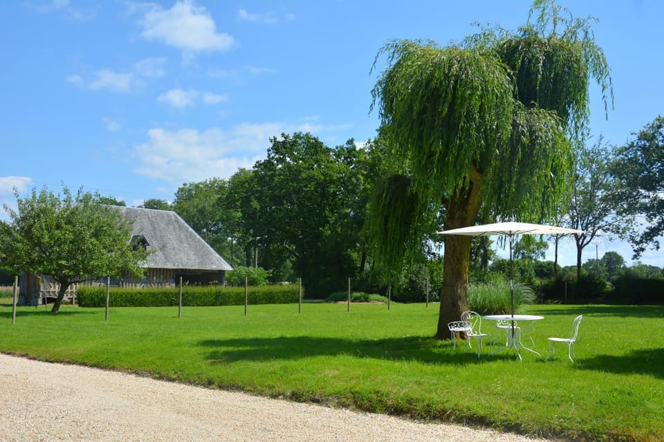 Garden, Garden view, furniture