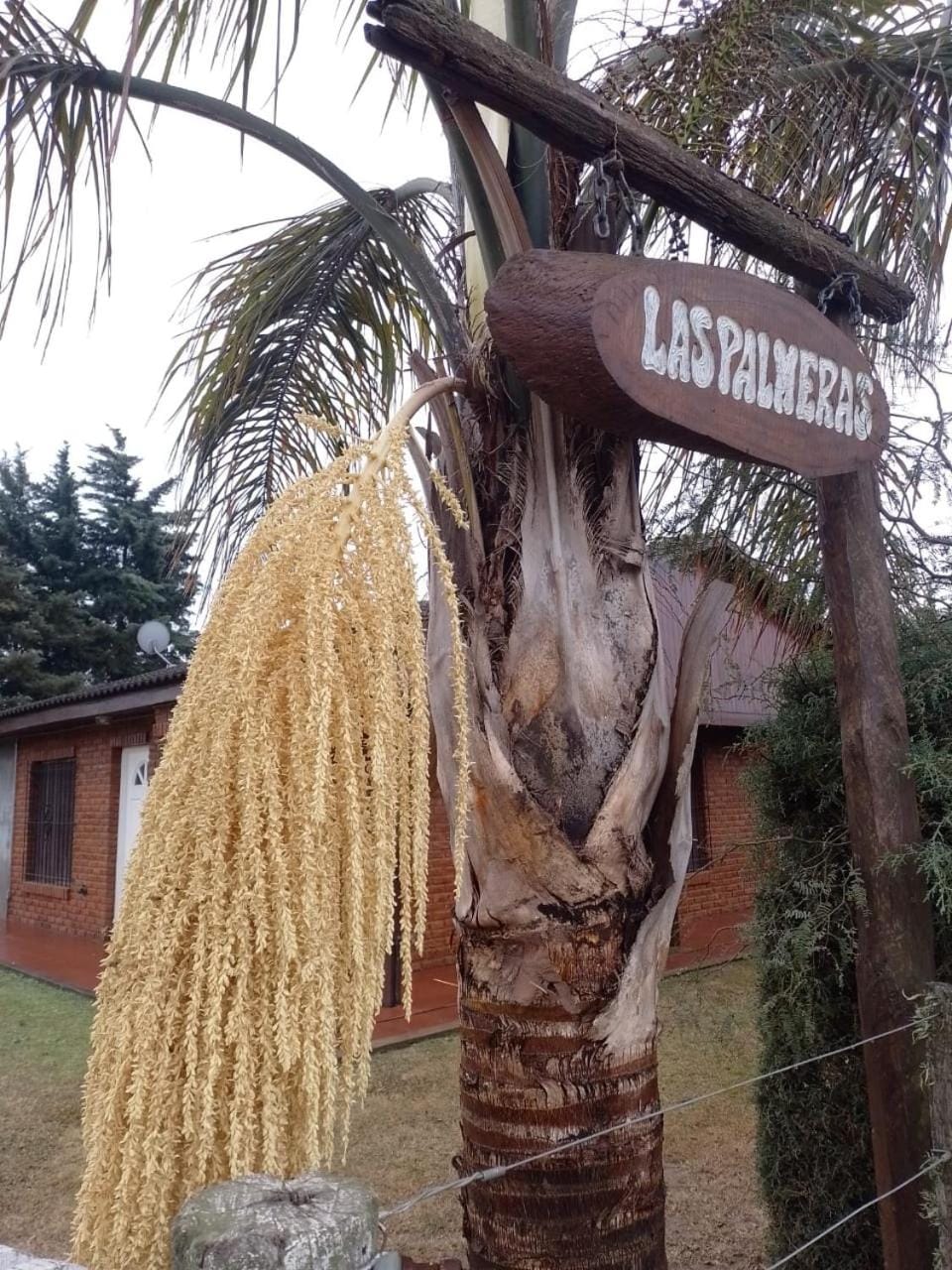 Las palmeras House in Santa Fe Province, Argentina