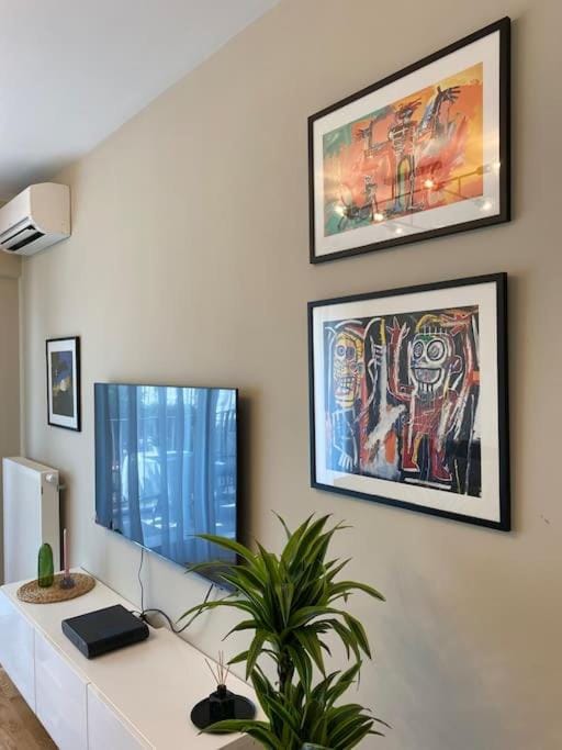 TV and multimedia