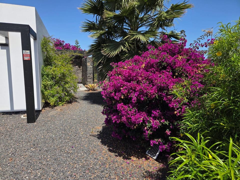 Casa Carica with heated pool in Lajares Apartment in Lajares