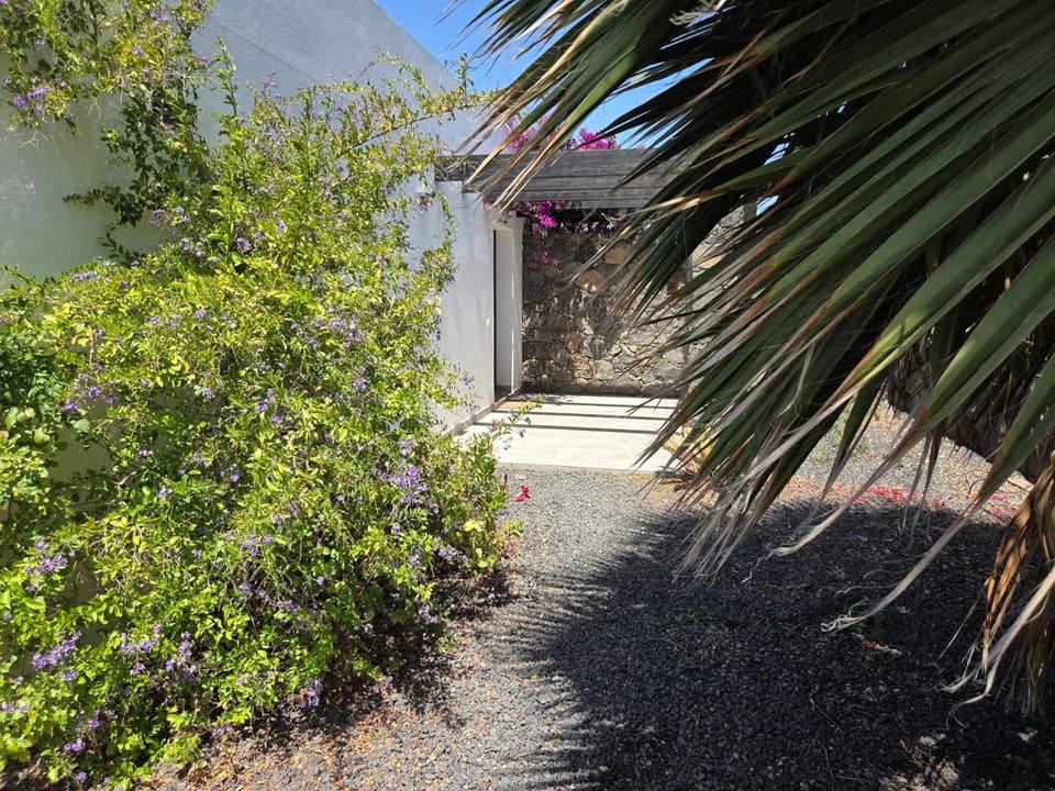Casa Carica with heated pool in Lajares Apartment in Lajares