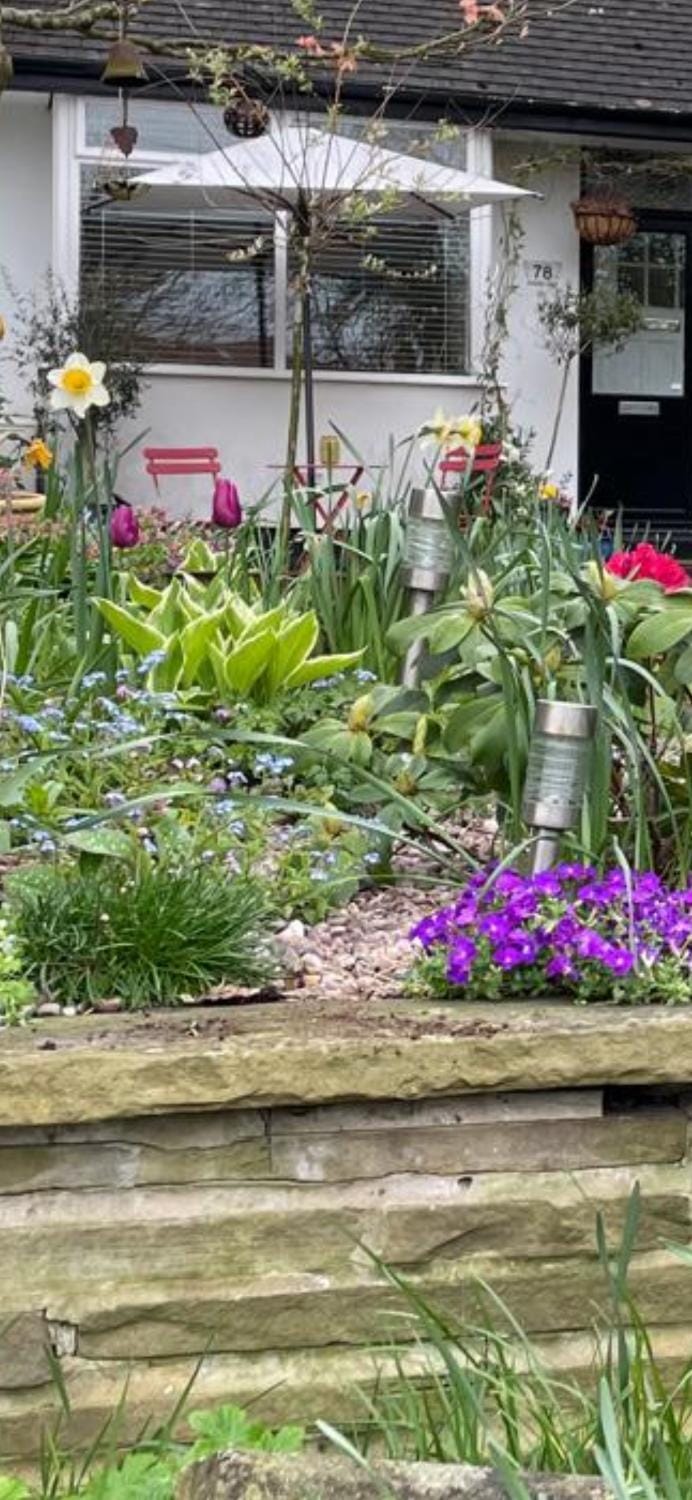 Spring, Garden, Garden view